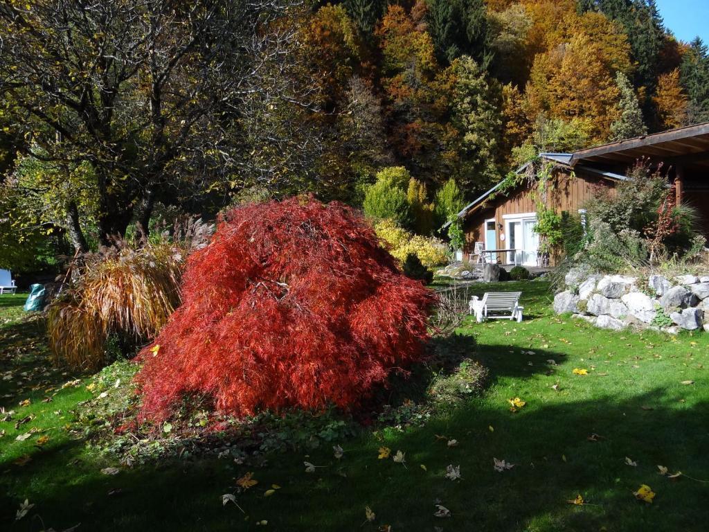 Gaestehaus Buehler Oberstdorf Pokoj fotografie